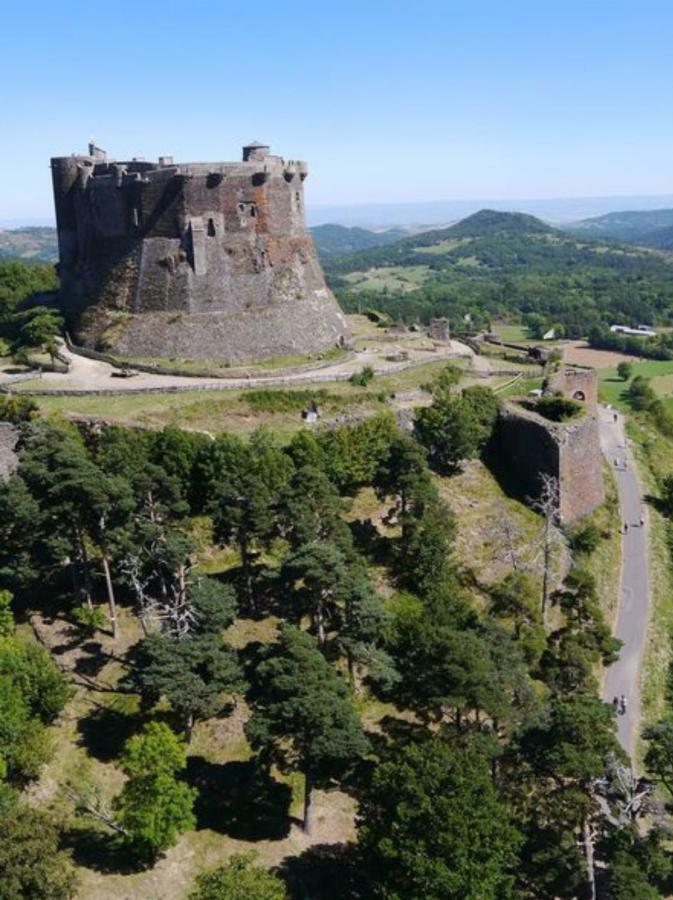 Les Terrasses Du Chateau De Murol - Studio 4P Au Pied Du Chateau De Murol Eksteriør bilde